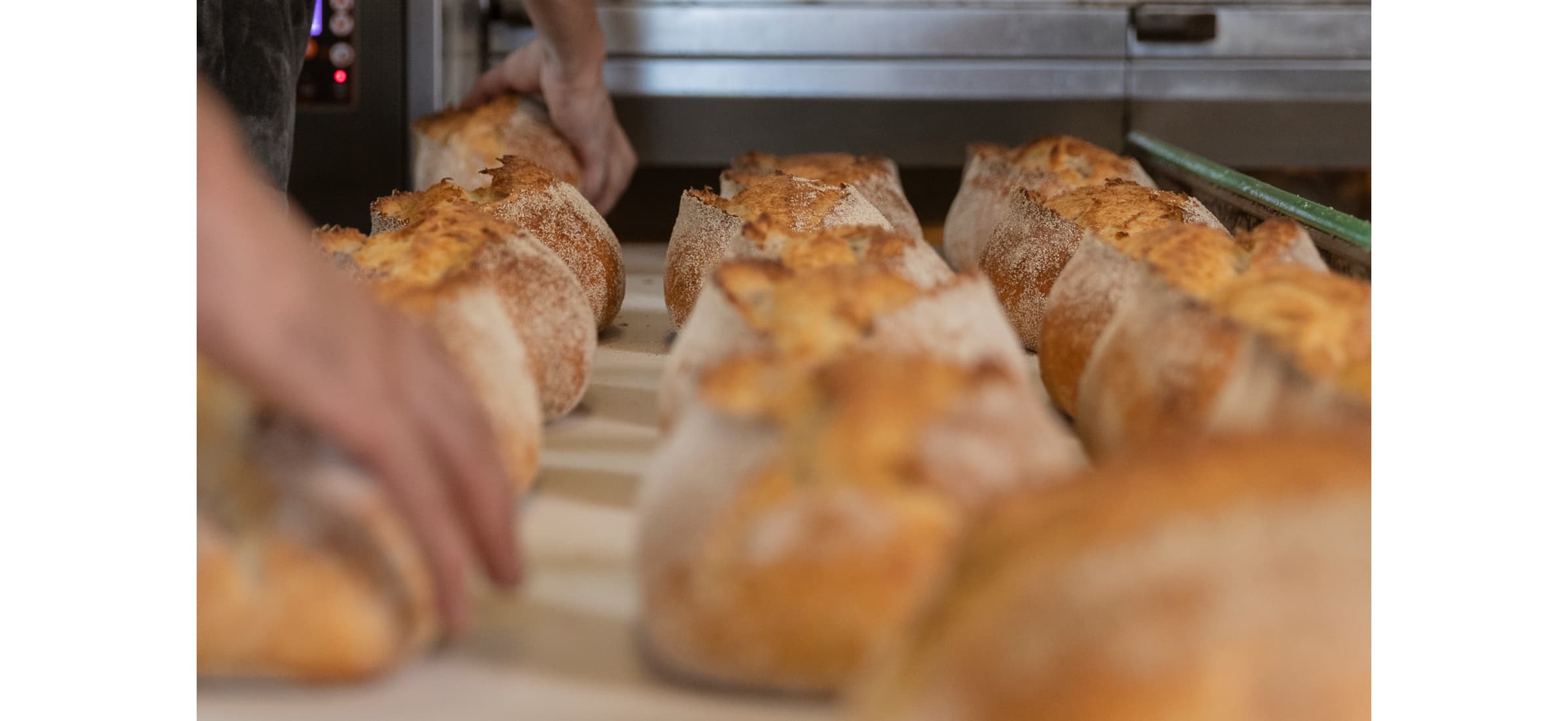 Loaves of bread fresh out of the oven.
